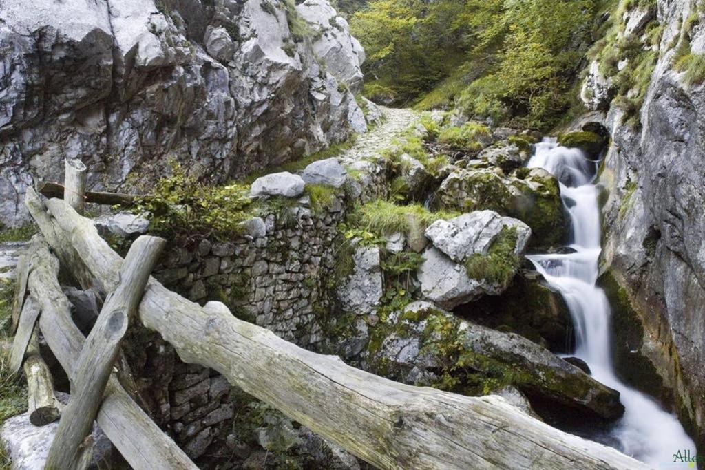 Los Molinos - Atico En Montana De Asturias Felechosa Buitenkant foto