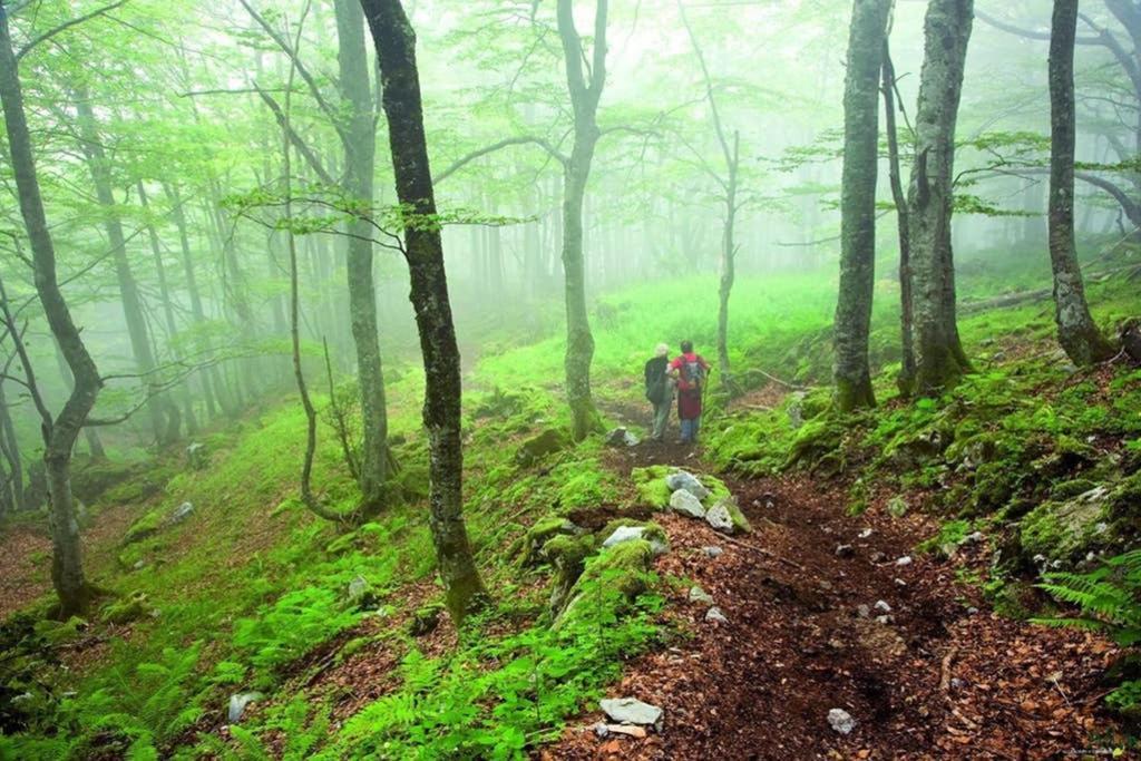 Los Molinos - Atico En Montana De Asturias Felechosa Buitenkant foto