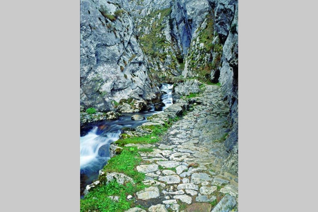 Los Molinos - Atico En Montana De Asturias Felechosa Buitenkant foto