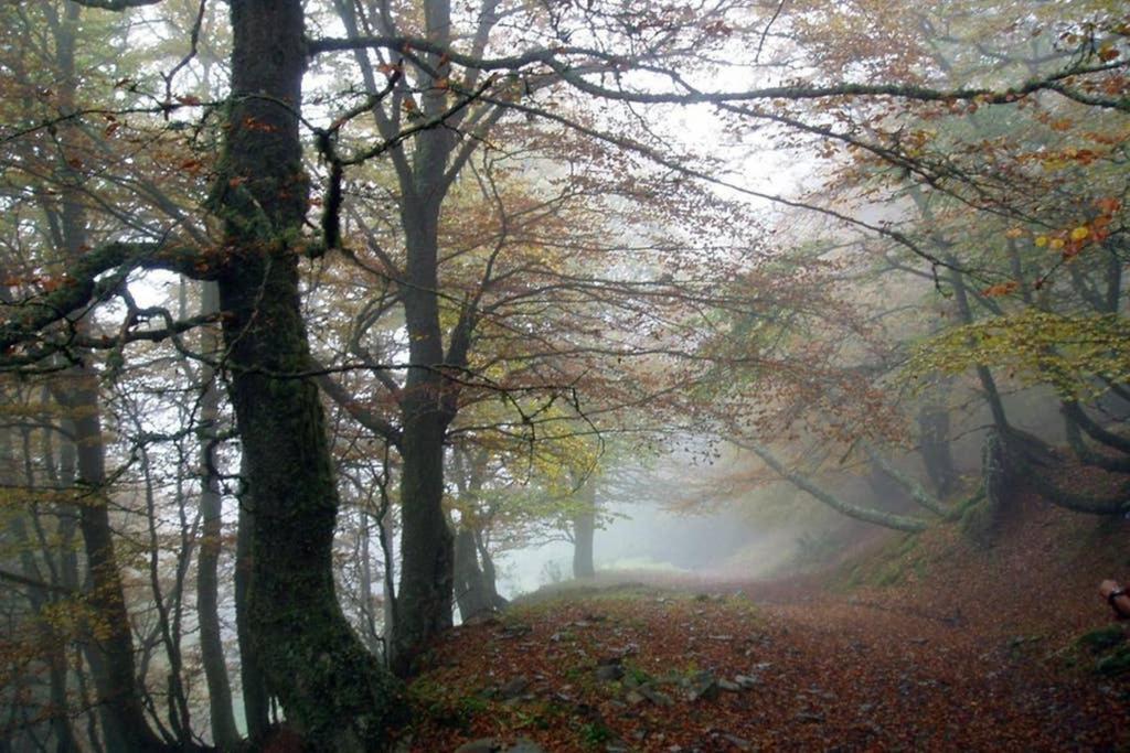 Los Molinos - Atico En Montana De Asturias Felechosa Buitenkant foto
