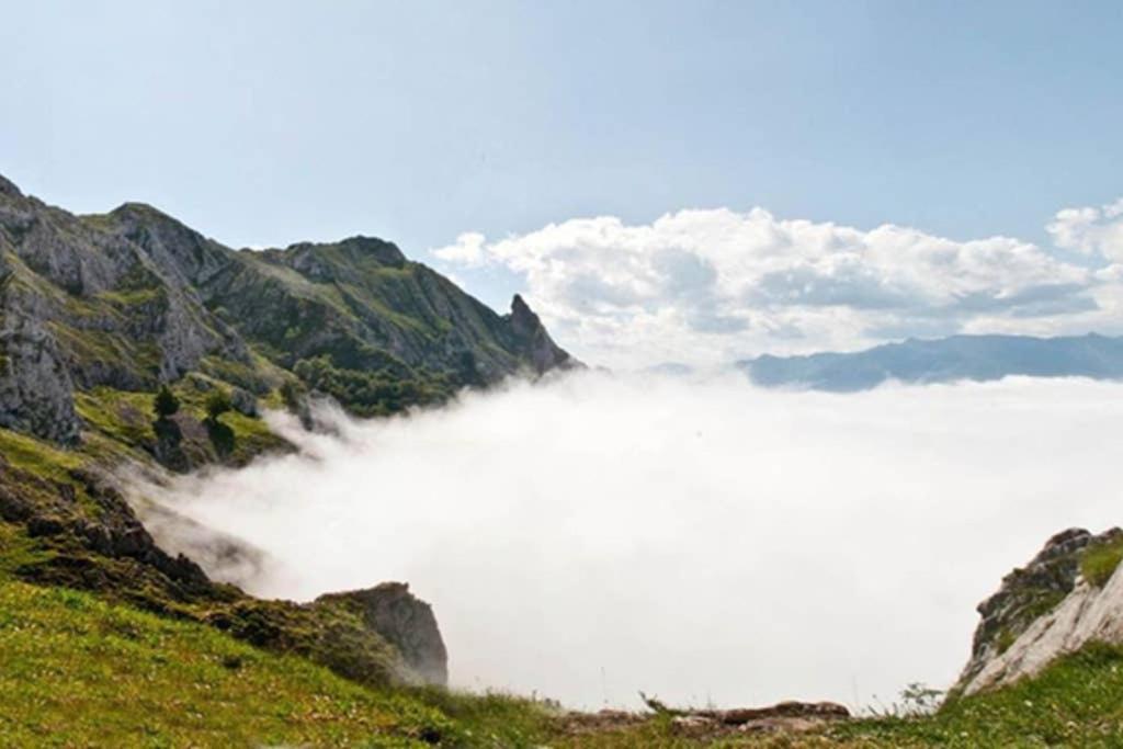 Los Molinos - Atico En Montana De Asturias Felechosa Buitenkant foto